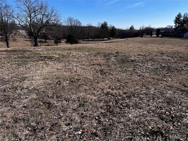 901 Edgemont Blvd, Perryville, MO 63775 - view of yard