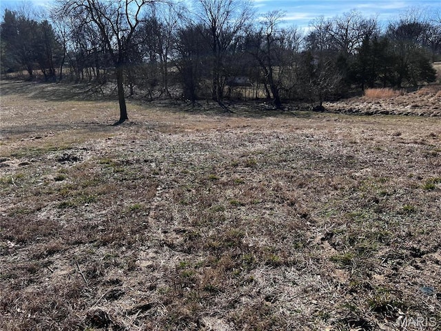 901 Edgemont Blvd, Perryville, MO 63775 - view of yard featuring a rural view