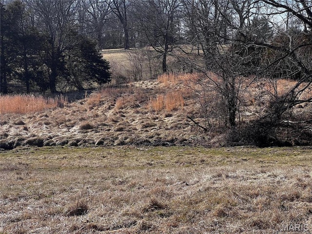 901 Edgemont Blvd, Perryville, MO 63775 - view of yard