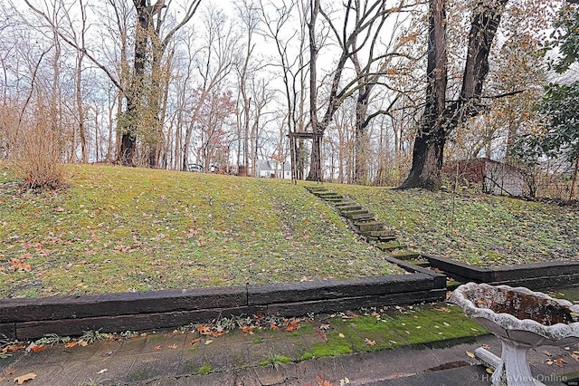 820 Sharon Dr, Cape Girardeau, MO 63701 - view of yard