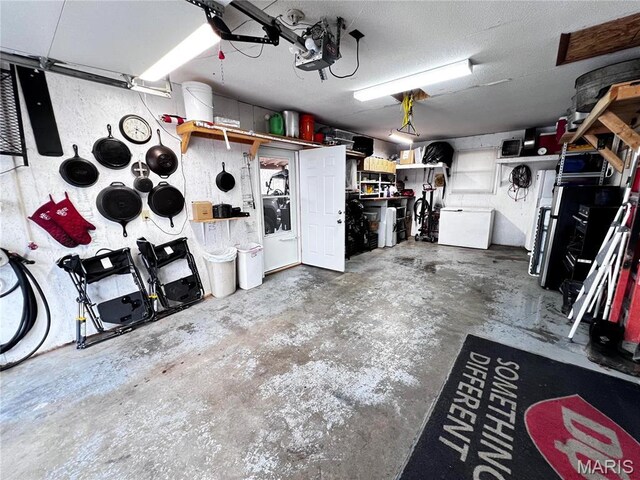 1034 Port Perry Dr, Perryville, MO 63775 - view of garage