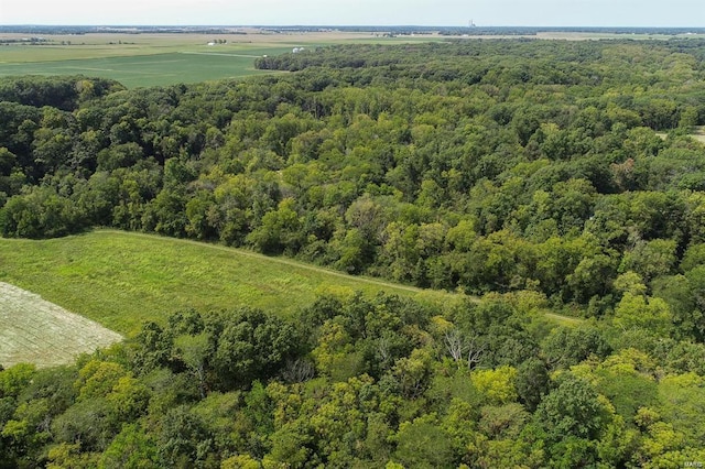 364 N 7th Ln, Fillmore, IL 62032 - aerial view of a heavily wooded area