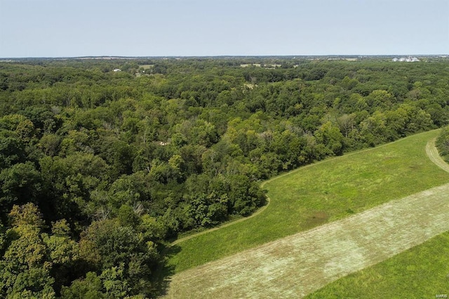 364 N 7th Ln, Fillmore, IL 62032 - aerial view of a forest