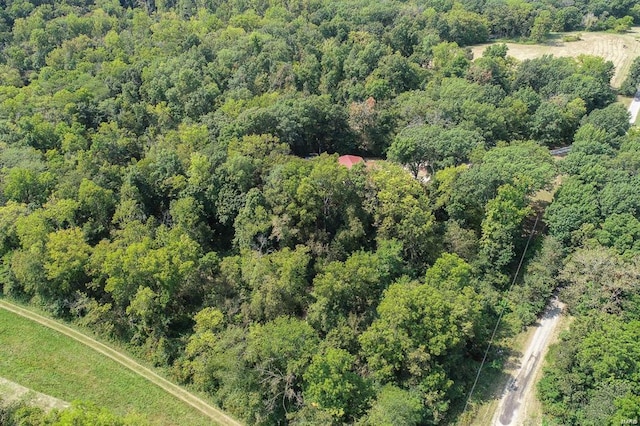 364 N 7th Ln, Fillmore, IL 62032 - bird's eye view of a heavily wooded area