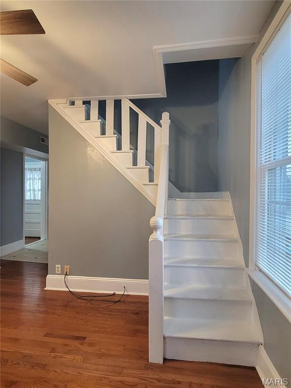 305 Macarthur St, Washington, MO 63090 - stairs with plenty of natural light, wood finished floors, and ceiling fan