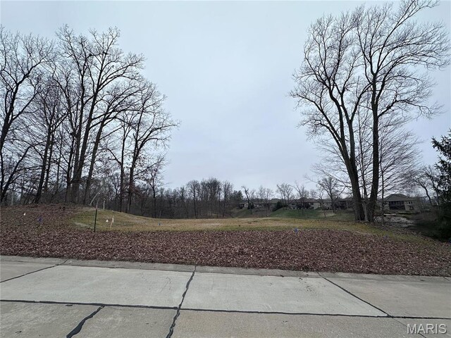 58 Stonebridge Crossing Dr, Maryville, IL 62062