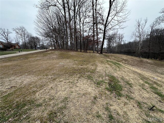 58 Stonebridge Crossing Dr, Maryville, IL 62062