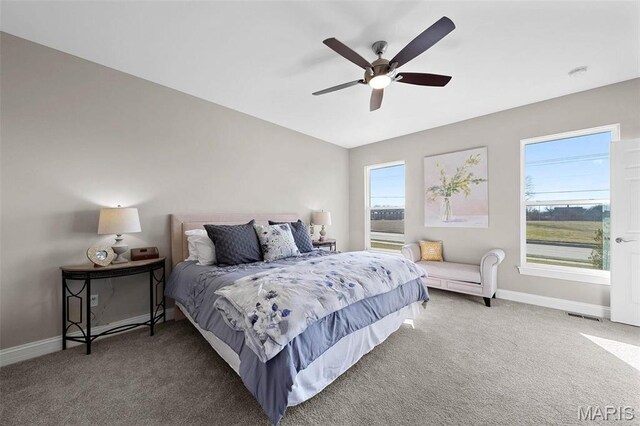 110 Dardenne Place Dr, Dardenne Prairie, MO 63368 - photo 5
