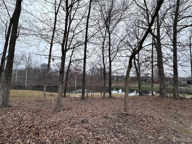 54 Stonebridge Crossing Dr, Maryville, IL 62062
