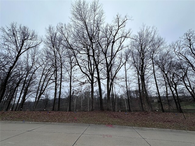 50 Stonebridge Crossing Dr, Maryville, IL 62062