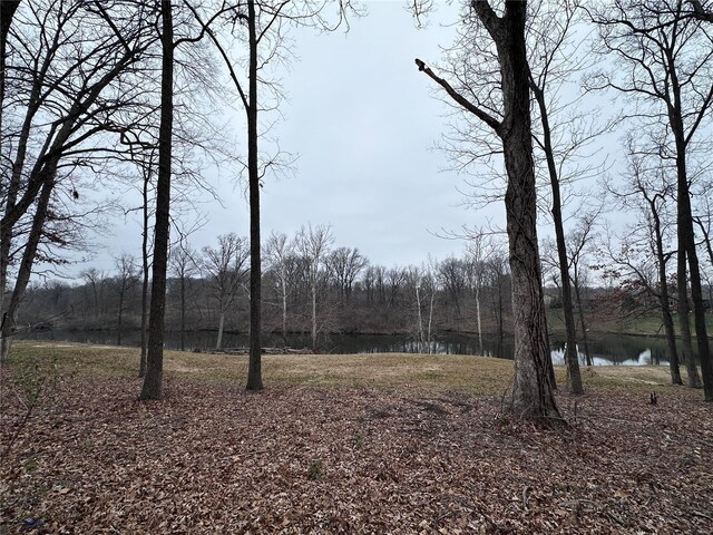 50 Stonebridge Crossing Dr, Maryville, IL 62062