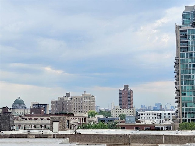 14 N Kingshighway Blvd Unit 6Bs, Saint Louis, MO 63108 - view of city
