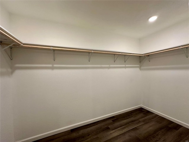 16 N Herren Ave, Ellsinore, MO 63937 - walk in closet featuring dark wood-style floors