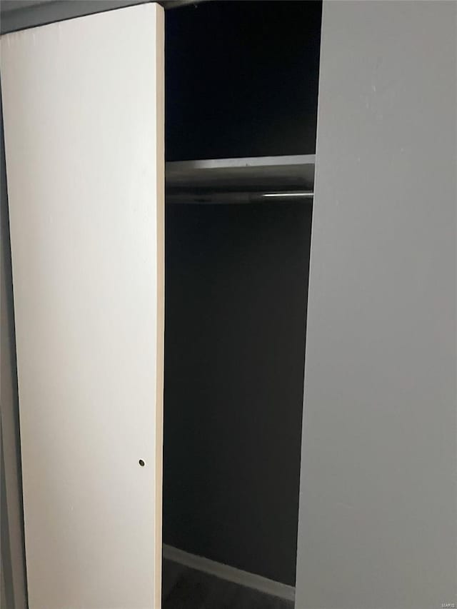 4610 Lexington Ave, Saint Louis, MO 63115 - view of closet