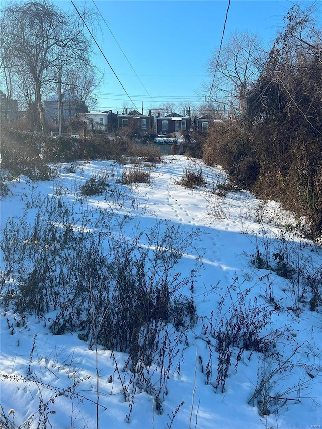 4610 Lexington Ave, Saint Louis, MO 63115 - view of yard layered in snow