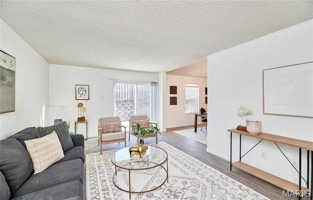 living area with wood finished floors and a textured ceiling