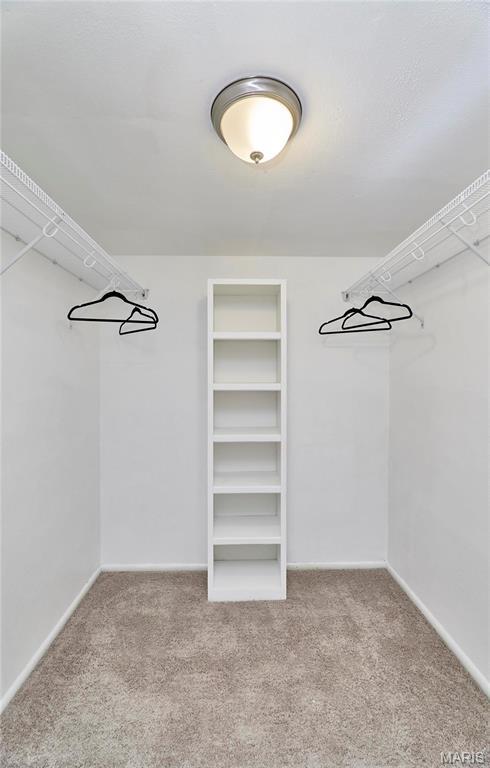 spacious closet featuring carpet floors