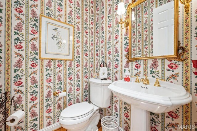 19385 Deer Pointe Estates Dr, Wildwood, MO 63038 - bathroom with wallpapered walls and toilet