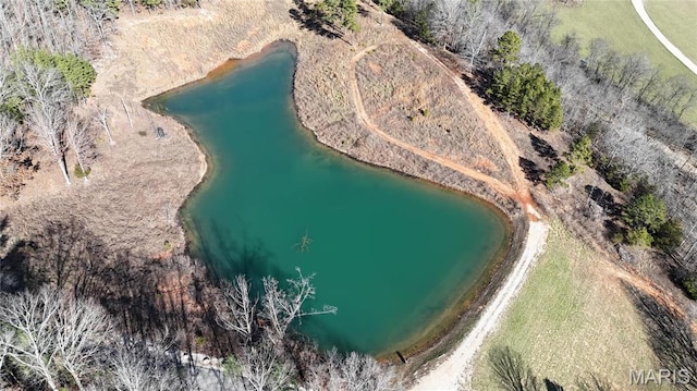 2385 Brown Rd, Van Buren, MO 63965 - photo 11