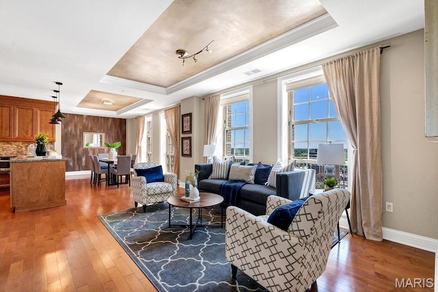 232 N Kingshighway Blvd Unit 1201, Saint Louis, MO 63108 - living area featuring a tray ceiling, wood-type flooring, and baseboards