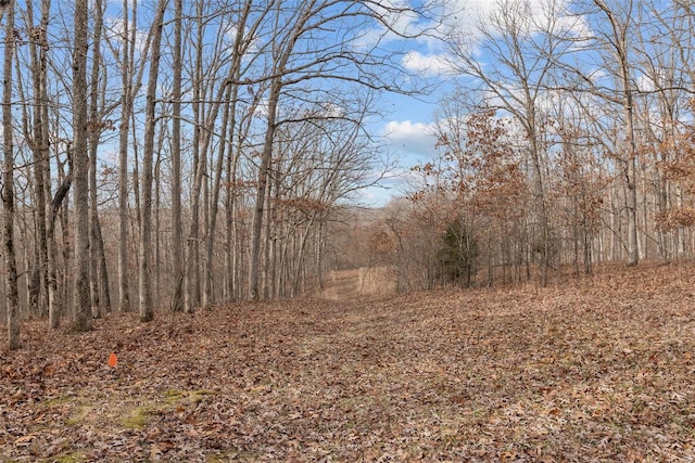26380 Pebble Creek Dr, Warrenton, MO 63383 - view of tree filled area