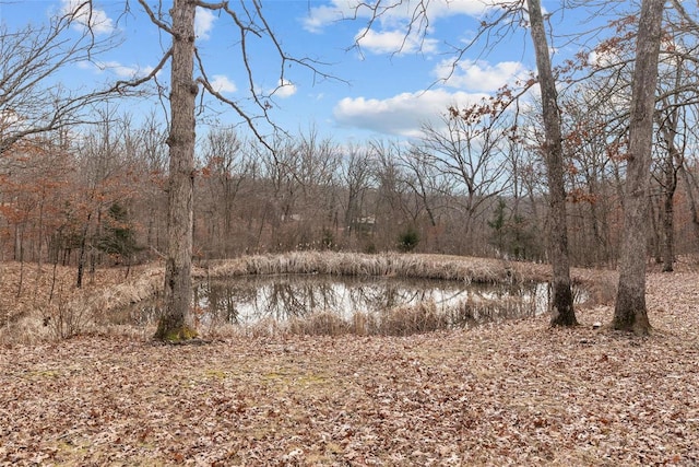 26380 Pebble Creek Dr, Warrenton, MO 63383 - view of tree filled area with a water view