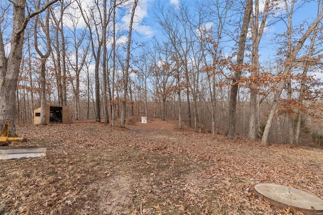 26380 Pebble Creek Dr, Warrenton, MO 63383 - view of yard featuring an outbuilding
