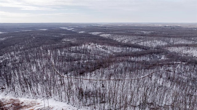 26380 Pebble Creek Dr, Warrenton, MO 63383 - view of snowy aerial view