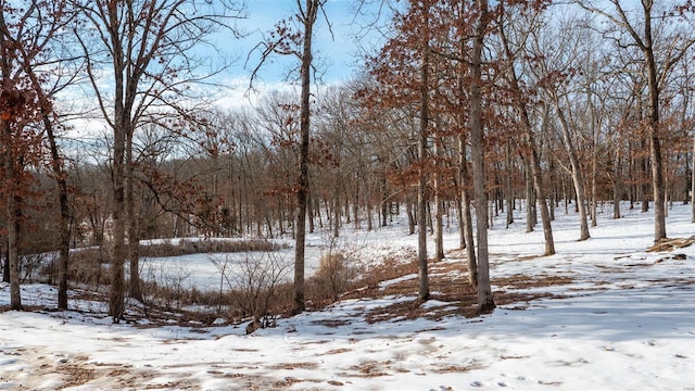 26380 Pebble Creek Dr, Warrenton, MO 63383 - view of yard covered in snow