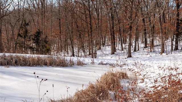 26380 Pebble Creek Dr, Warrenton, MO 63383 - view of yard layered in snow