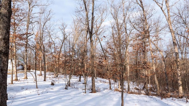 26380 Pebble Creek Dr, Warrenton, MO 63383 - view of yard layered in snow