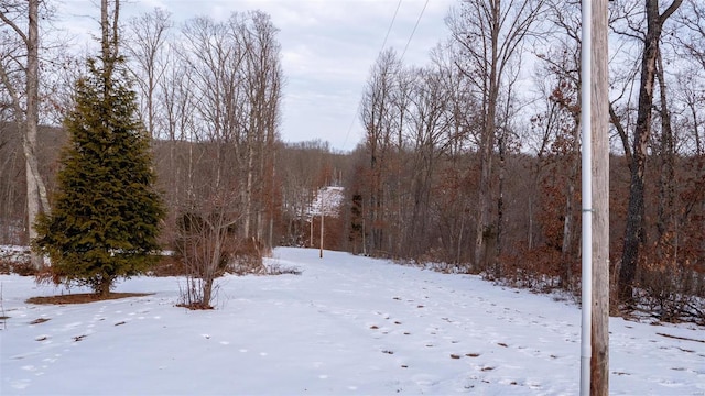 26380 Pebble Creek Dr, Warrenton, MO 63383 - yard covered in snow with a forest view