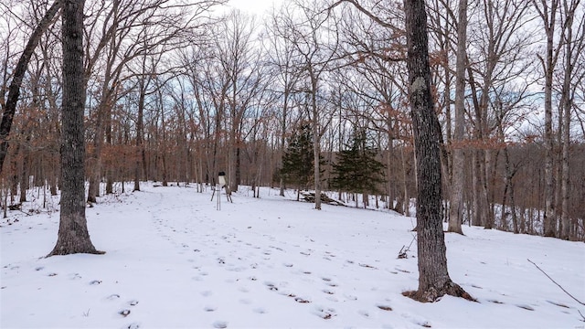 26380 Pebble Creek Dr, Warrenton, MO 63383 - view of snowy yard