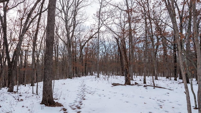 26380 Pebble Creek Dr, Warrenton, MO 63383 - view of yard with a wooded view