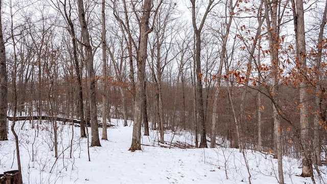 26380 Pebble Creek Dr, Warrenton, MO 63383 - view of yard covered in snow