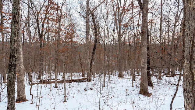 26380 Pebble Creek Dr, Warrenton, MO 63383 - view of yard layered in snow