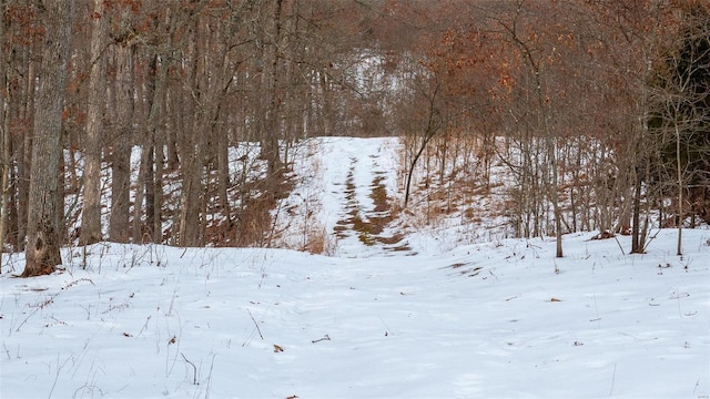 26380 Pebble Creek Dr, Warrenton, MO 63383 - view of yard layered in snow
