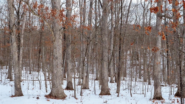 26380 Pebble Creek Dr, Warrenton, MO 63383 - view of yard layered in snow