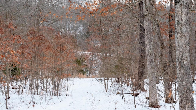 26380 Pebble Creek Dr, Warrenton, MO 63383 - snowy aerial view with a view of trees