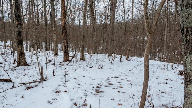 26380 Pebble Creek Dr, Warrenton, MO 63383 - view of yard covered in snow