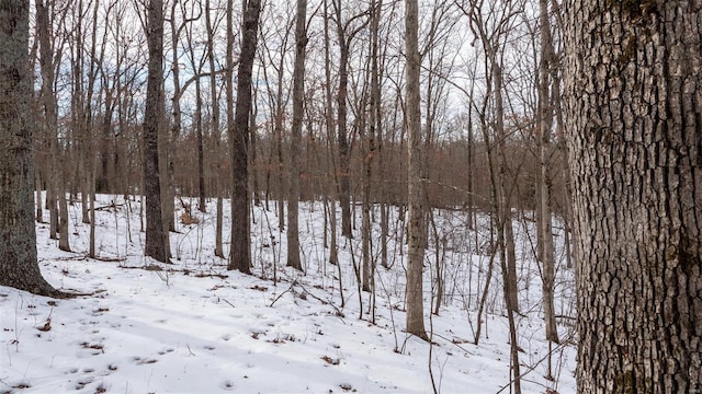 26380 Pebble Creek Dr, Warrenton, MO 63383 - view of yard