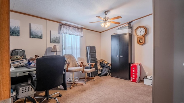 26380 Pebble Creek Dr, Warrenton, MO 63383 - home office with ornamental molding, carpet floors, and ceiling fan