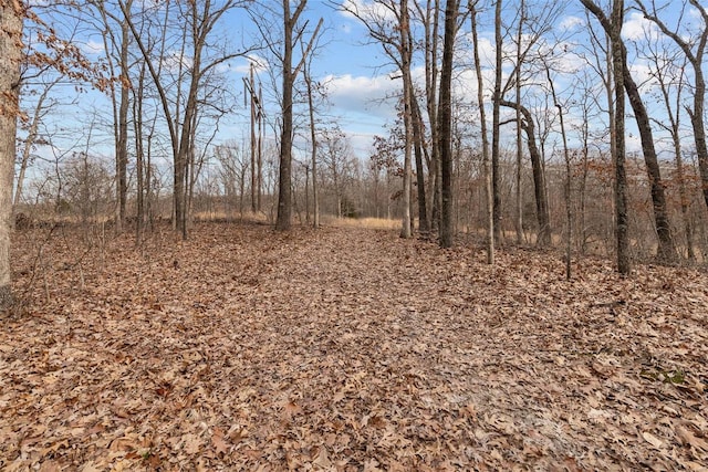 26380 Pebble Creek Dr, Warrenton, MO 63383 - view of nature