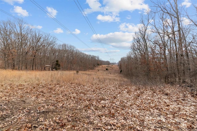 26380 Pebble Creek Dr, Warrenton, MO 63383 - view of local wilderness
