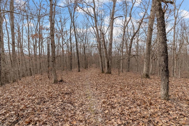 26380 Pebble Creek Dr, Warrenton, MO 63383 - view of woods