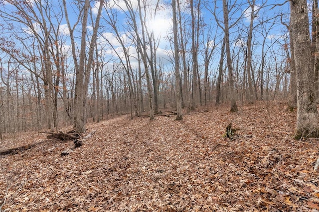 26380 Pebble Creek Dr, Warrenton, MO 63383 - view of tree filled area
