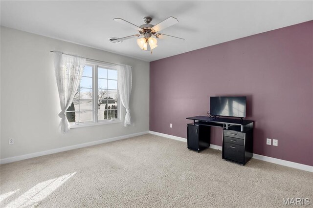 882 Edwards St, Saint Libory, IL 62282 - photo 29