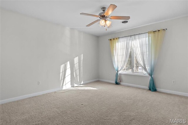 882 Edwards St, Saint Libory, IL 62282 - photo 31