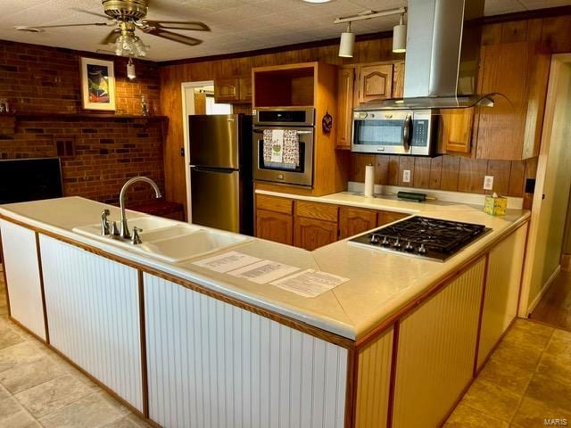 1028 Main St, New Madrid, MO 63869 - kitchen featuring appliances with stainless steel finishes, a sink, exhaust hood, light countertops, and a ceiling fan