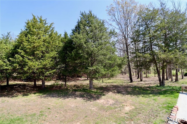 18921 Pleasant View Ln, Lebanon, MO 65536 - view of yard